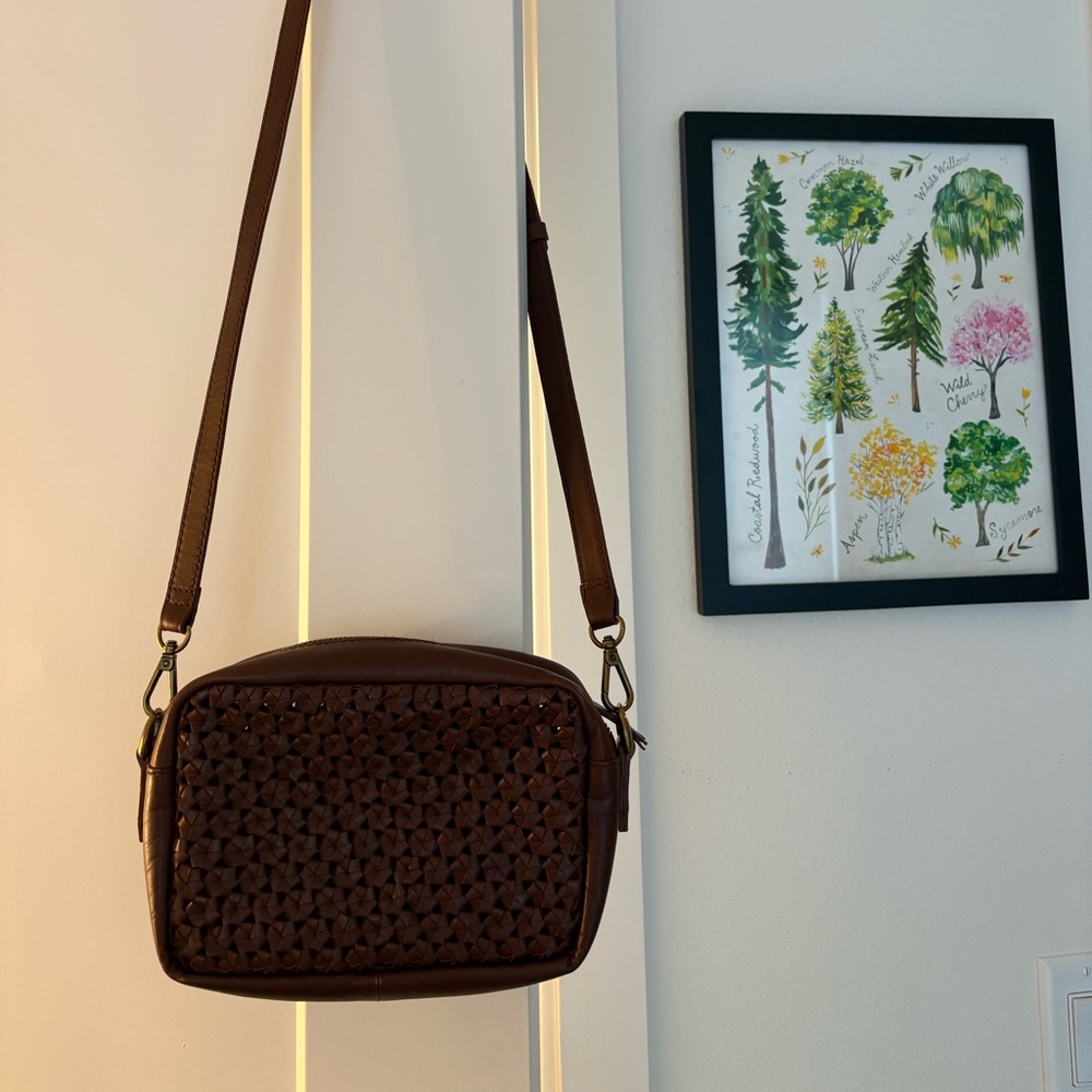 Madewell Transport Camera Bag: Crochet Leather Edition